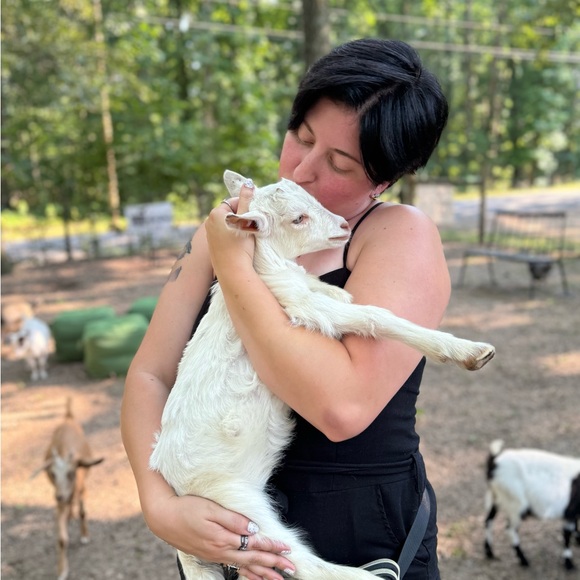 Meet your Posher, Hayden - Picture 1 of 1